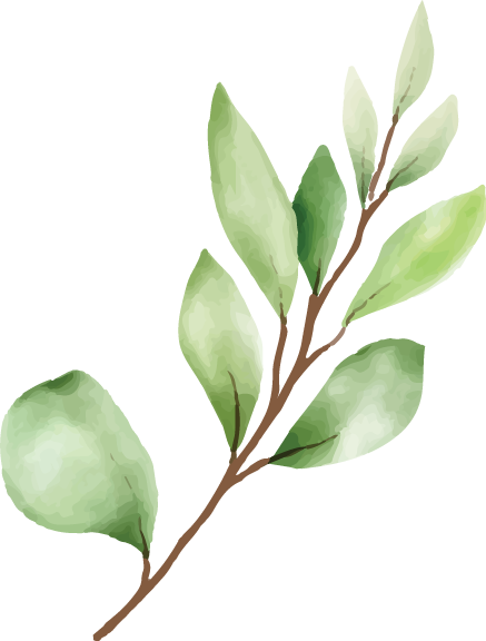 Leaves-left-1